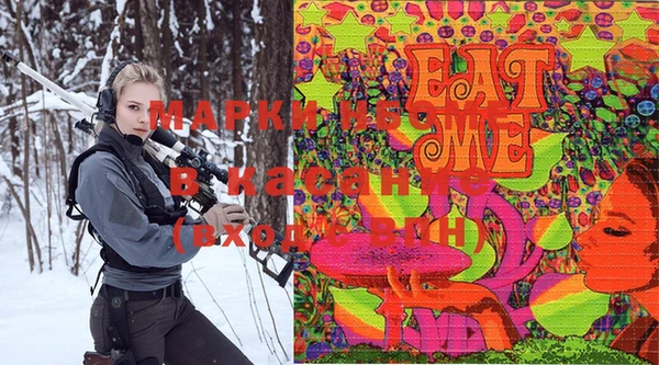 шишки Белокуриха