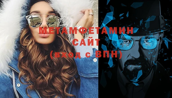 шишки Белокуриха
