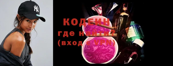 шишки Белокуриха