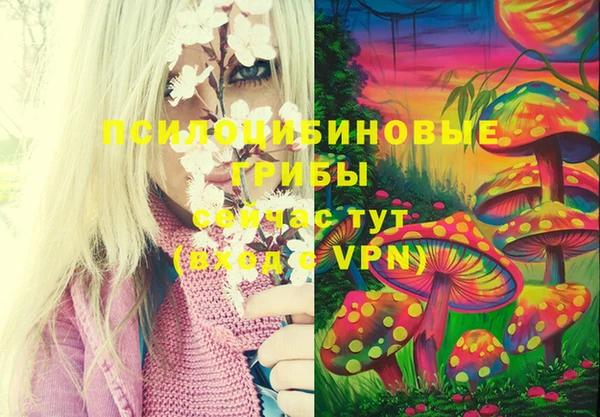 шишки Белокуриха