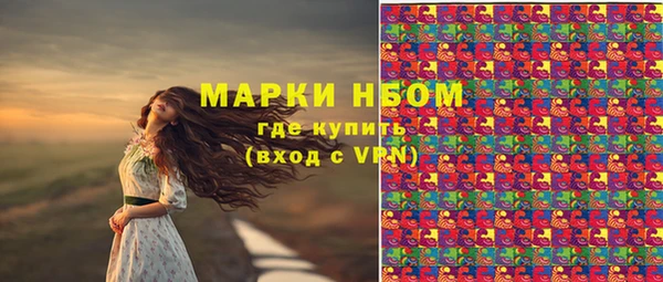 шишки Белокуриха