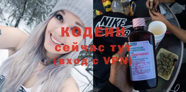 шишки Белокуриха
