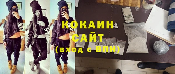шишки Белокуриха