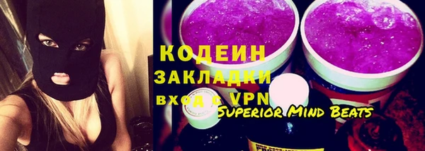 шишки Белокуриха