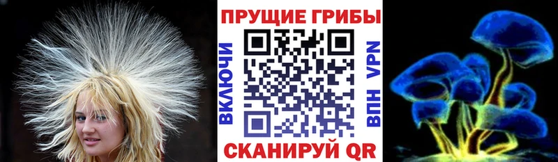 Галлюциногенные грибы GOLDEN TEACHER  Нарьян-Мар 